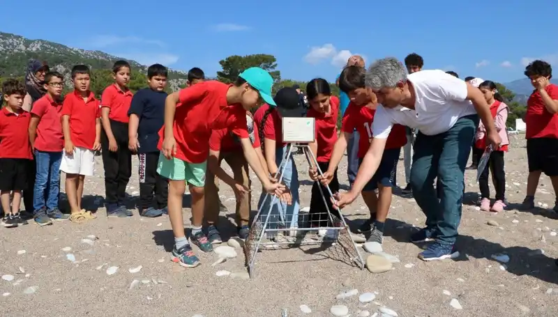 Kemer'de Caretta Caretta Koruma Yasakları Başladı: Deniz Kaplumbağaları Tehlikede!