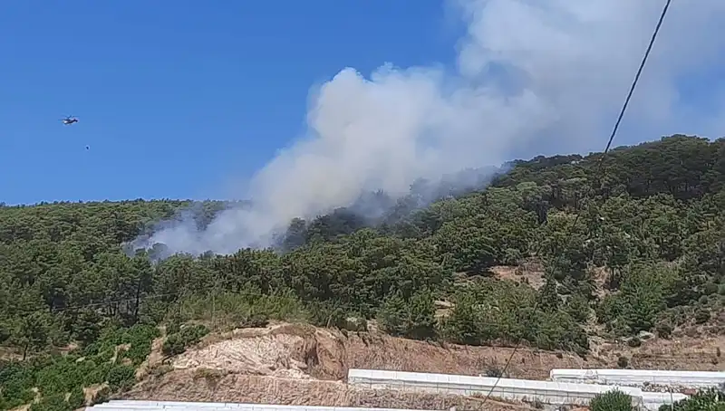 Kumluca'da Yangın Alarmı: Ormanları Kül Eden Alevler Ne Kadar Kontrol Altında?