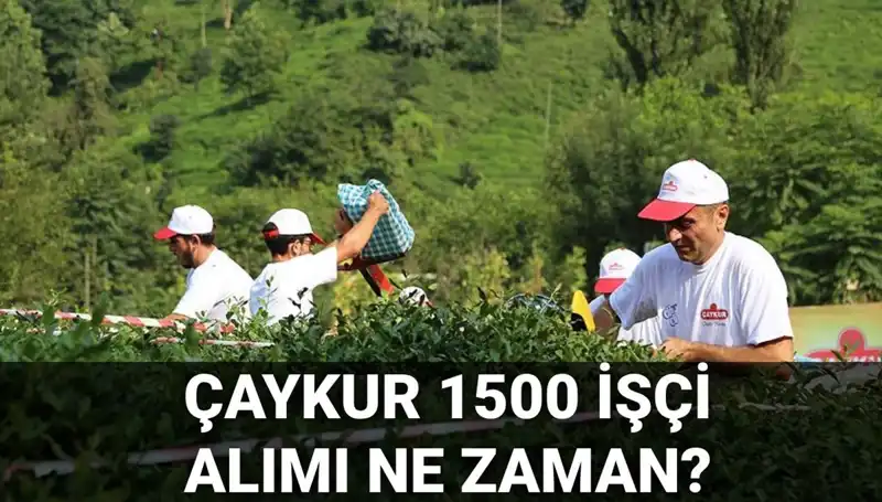 Çaykur İşçi Alımı İçin Yeni Başvuru Tarihleri Açıklandı!