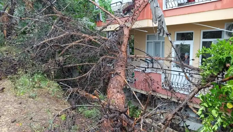 Yağmurun Furiesi: Bina Neden Yıkıldı ve Ne Olacak?