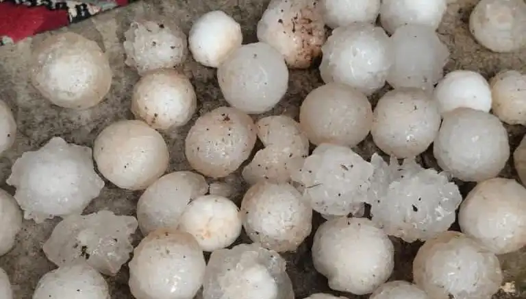 Şanlıurfa'da Beklenmedik Dolu Yağışı, Tarımı Vurdu mu?