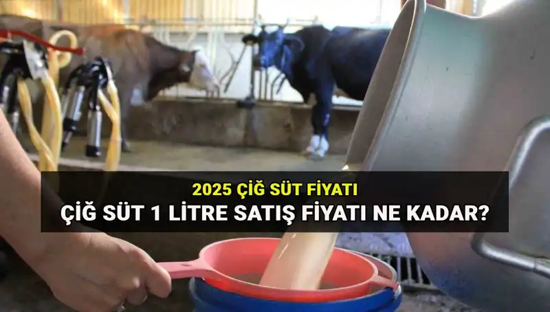 2025 Çiğ Süt Fiyatında Beklenmedik Artış: Güncel Rakamlar Ne?