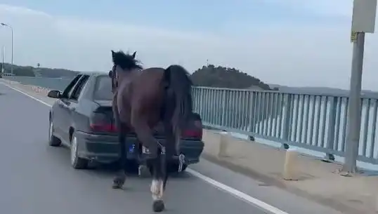 Adana'da Bir Kişi Ata Eziyet Etti, Tutuklandı!