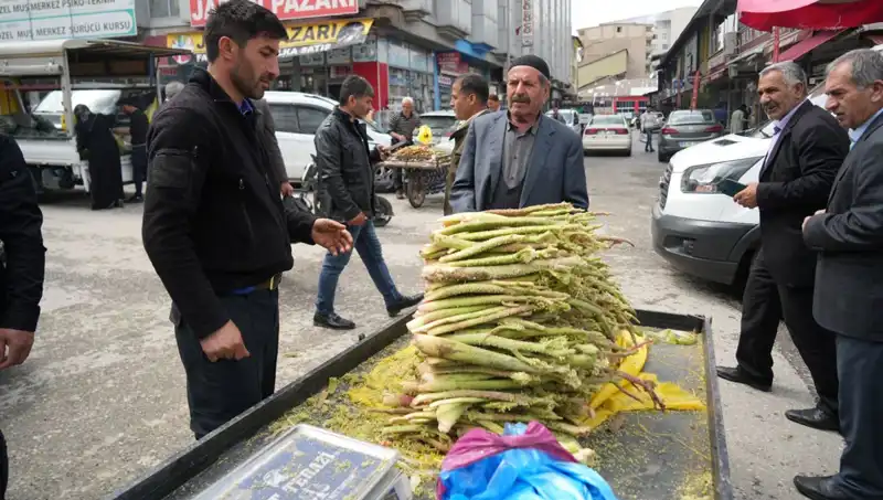 Şeker: Dağlık Alandan Toplanan Doğal Şifa İhtiyacı Karşılıyor