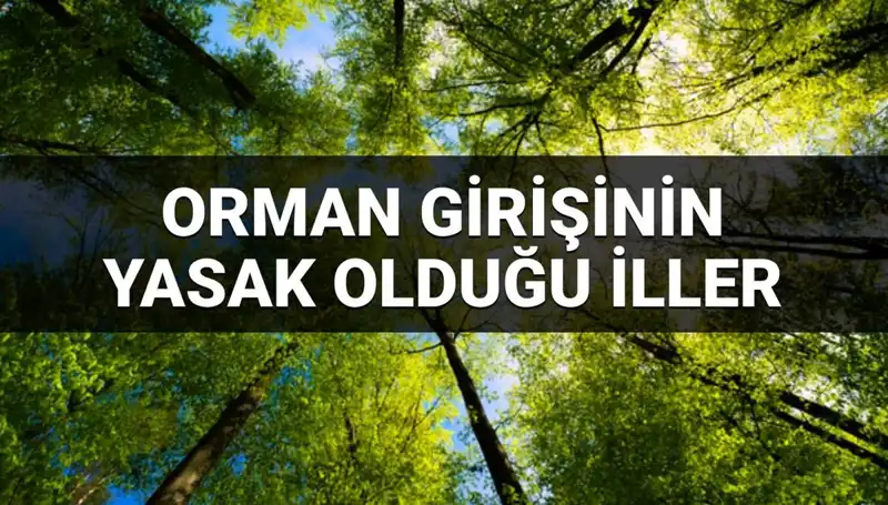 2025'te Ormana Girişi Yasaklayan İller: Hangi Bölgelerde Dikkat Etmelisiniz?