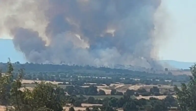 Komşudaki Orman Yangını, Edirne'yi Dumanla Kapladı: Tehlike Büyüyor