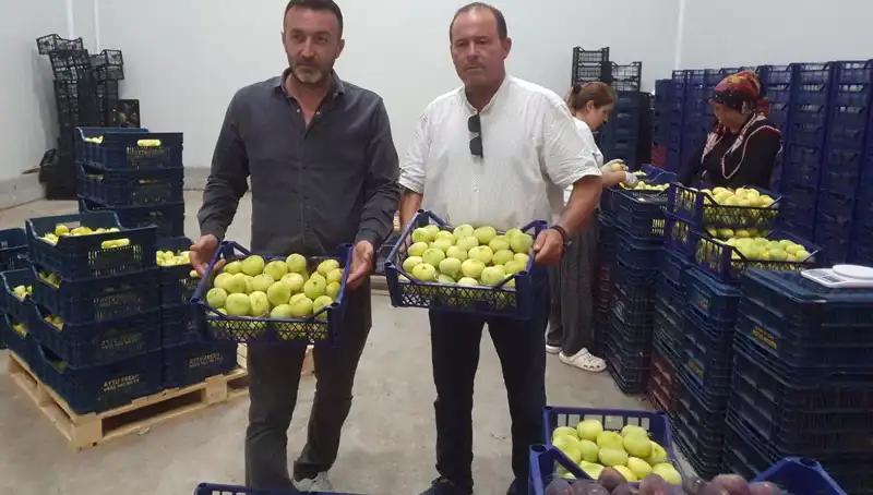 Mersinli Çiftçilerin Yüzünü Güldüren Fındık İhracı Başladı