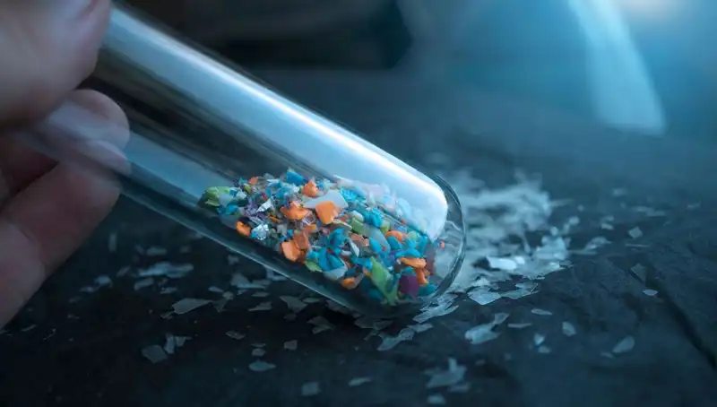 Mikroplastikler İnsan Beynine Ulaşarak Sağlığımızı Tehdit mi Ediyor?