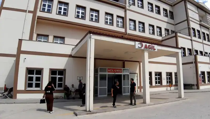 Bolu'da Ayı Avı Kararı: Yerel Halkın Tepkisi ve Tartışmalar