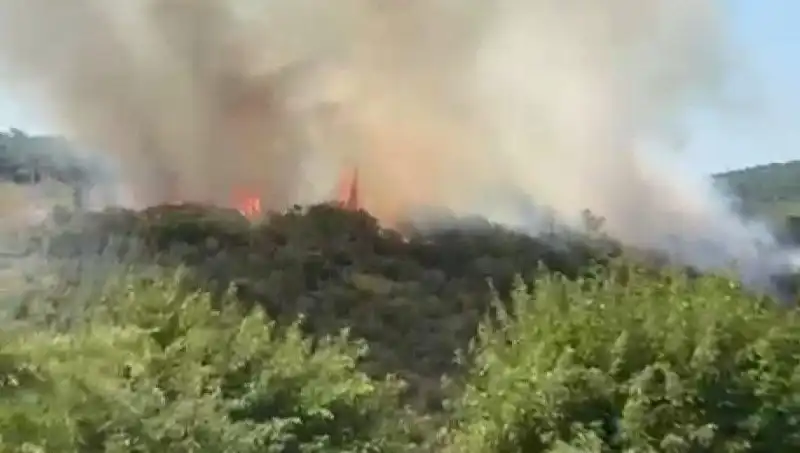 İstanbul’da Korkutan Orman Yangını: Çevre Tedbirleri ve Vatandaş Tahliyeleri