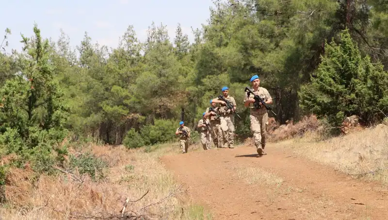 Kilis'te Orman Yangını Denetimleri Artıyor: Doğanın Korunması İçin Yeni Önlemler