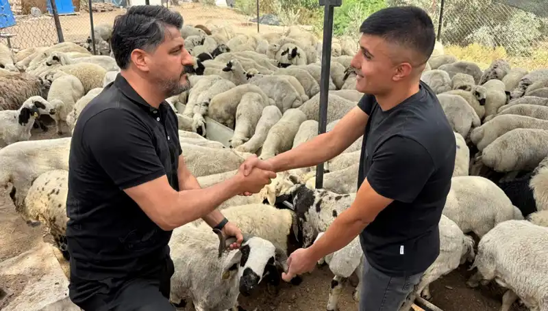 Kurbanlık Alırken Dikkat: Tuz ve Sumak Püf Noktaları Açıklandı!
