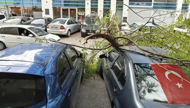Kayseri'de Dalları Kıran Fırtına: Doğanın Gücüyle Sarsılan Şehir