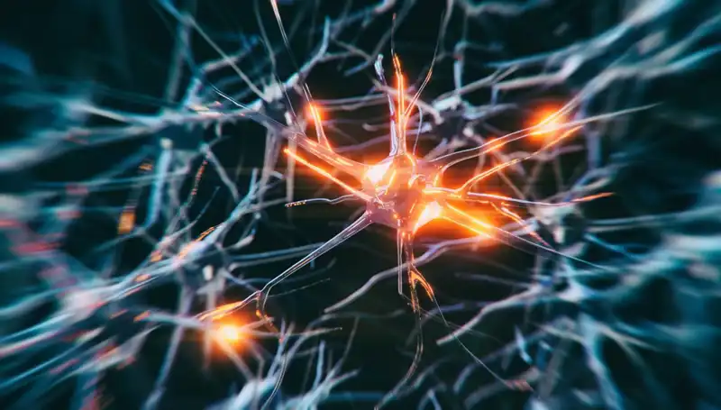 Alzheimer Vakalarındaki Artışın Üzerindeki Sır Perdesi