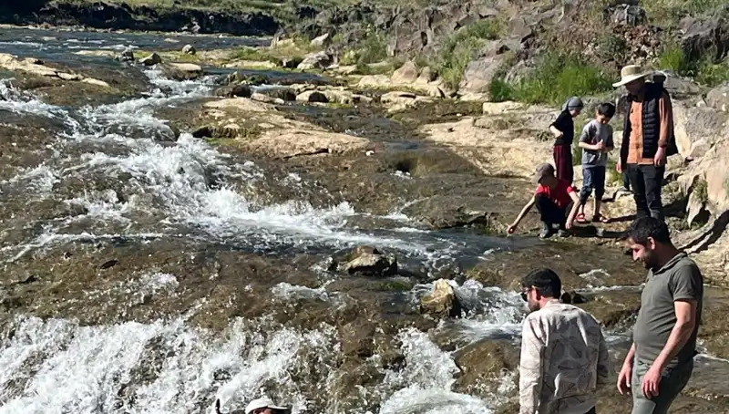 İnci Kefalinin Büyüleyici Göçü: Turistlerin Yeni İlgi Alanı