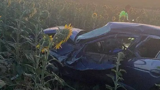 Ayçiçeği Tarlasına Devrilen Otomobilin Ardında Yaralılar ve Gizemli Bir Hikaye