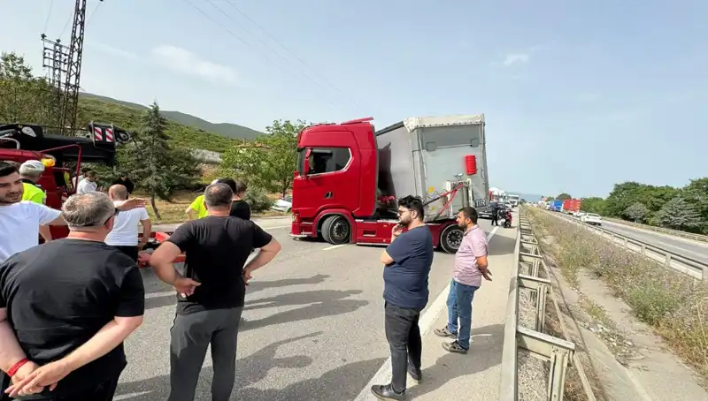 Seyir Halindeyken Arı Soktu: Trafik Paneli Şok ve Kaos Yaşadı