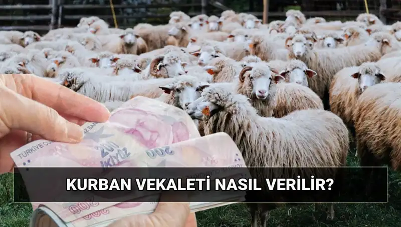 Vekaletle Kurban Kesilir Mi? 2025 Yılı İçin Diyanet Bedeli Ne Kadar?