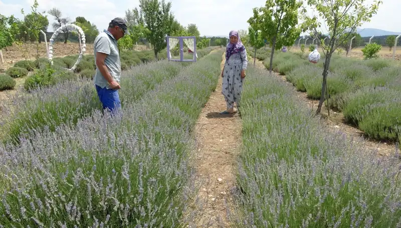 Hobi ile Başladı, Şimdi Geçim Kaynağı Oldu: Girişimcilerin İnanılmaz Hikayesi