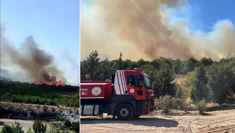Gebze'de Yangın Paniği: Ekipler Hızla Müdahale Etti
